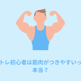 【実体験】筋トレ初心者は筋肉がつきやすいって本当？→結論：本当です